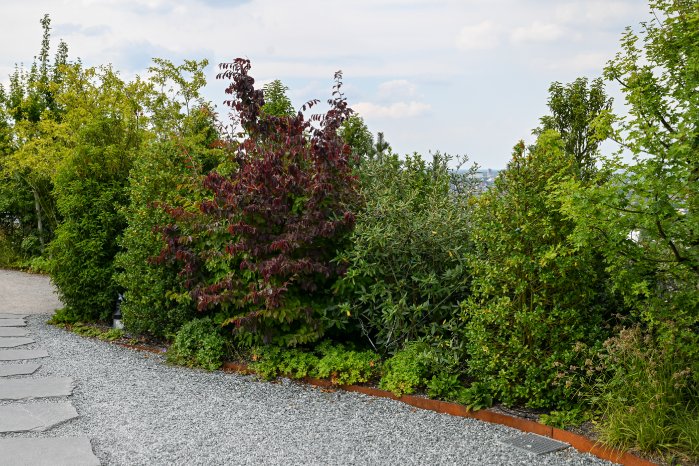 Optigruen_Referenzbild_Bunker Hamburg_03.jpg