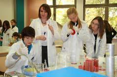 Beim Herbstcamp der PH Freiburg in den Laboratorien der Hohenstein Institute arbeiteten die Schülerinnen mit höchster Konzentration an den vorbereiteten Experimenten