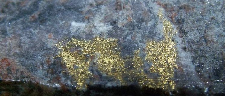 Maple Gold Mines Bohrkern mit Gold.jpg