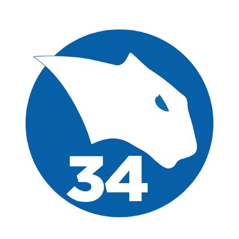 V34-Logo.png