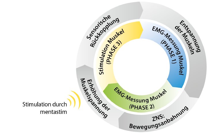 mentastim_schema_0813_102.png