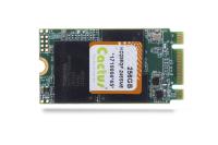 Cactus Technology 245S Series M.2 Card