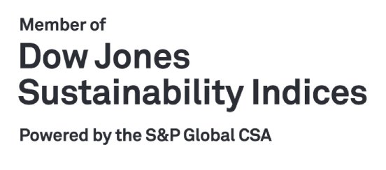 Dow Jones Sustainability World Index.PNG