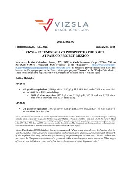 25012021_En_Vizlsa Extends Papayo to the South.pdf