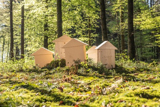 best-wood-schneider_imagebild.jpg