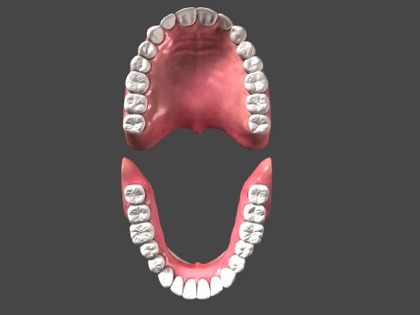 Dosch3D-MedicalDetails-Teeth-3.jpg