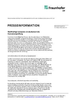 PI_Salzpaste_Fraunho~LBF_final_offen.pdf