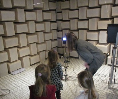 Make your own mic4.jpg