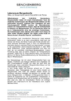 2016_06_13 PM Manganknolle.pdf