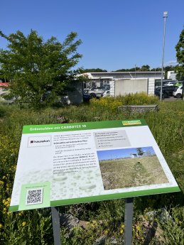 Schaubild-GrÅnmulde.JPG
