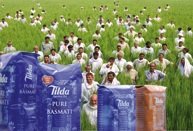 Ricefield_Tilda_02.jpg