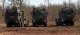 Rheinmetall MAN Military Vehicles setzen Erfolgsgeschichte bei den Bundeswehr-Logistikfahrzeugen fort