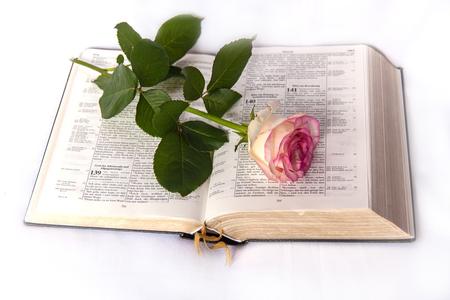 Bible-Domains - the domains for all subjects concerning the bible