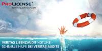 Veritas Lizenzaudit - Veritas Audit - Veritas Software Audit