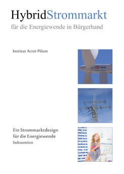 HybridStromMarkt-Buch-Cover--978-3-9816443-4-0.PNG