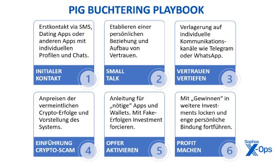 PigBucheringPlaybook.png