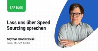 LeverX-Expert:innen teilen ihre Einblicke