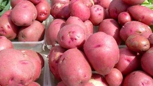 Rote Kartoffeln