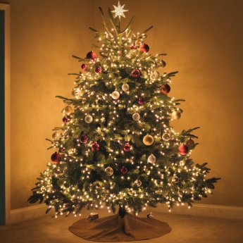 Pressefoto_Weihnachtsbaum mit Lichterketten.jpg