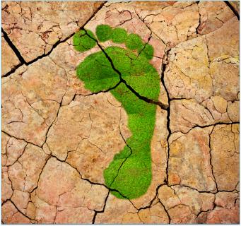 Der CO2-Fußabdruck von Produkten wird immer wichtiger. Um Greenwashing-Vorwürfen entgegen zu wirken, ist eine fundierte Berechnung nach den relevanten Standards ISO 14040/44 und ISO 14067 erforderlich