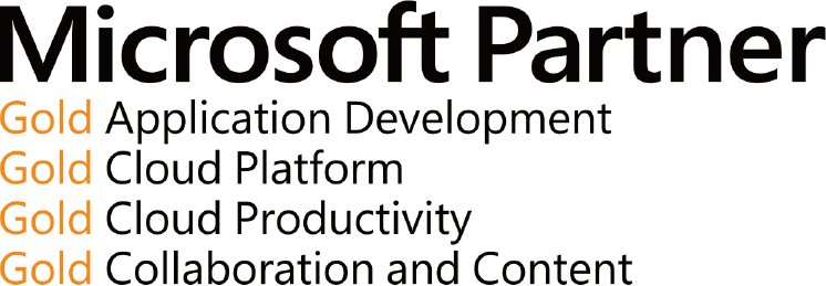 Microsoft Partner logo_regular.jpg