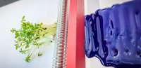 Natürliche Inhaltsstoffe für nachhaltige Farbe: Am EZD forschen Wissenschaftler intensiv an biobasierten Beschichtungen.