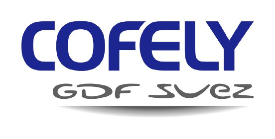 COFELY-Gdf Suez_42mm_RGB.jpg
