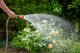TÜV SÜD gibt Tipps zur modernen Gartenbewässerung