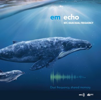 EM-Echo.jpg