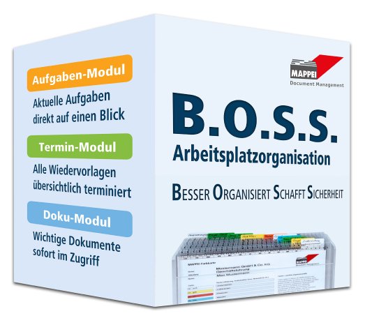 B.O.S.S.-Arbeitsplatzorganisation MAPPEI.jpg