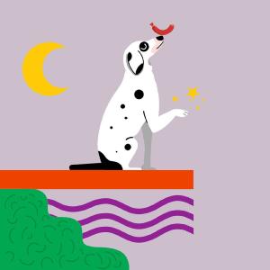 Hunde-App Woofbuzz: Die All-in-one-Plattform für ein glückliches Hundeleben