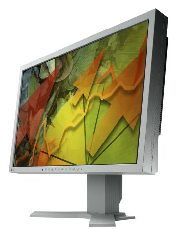 EIZO S2242W von links.jpg