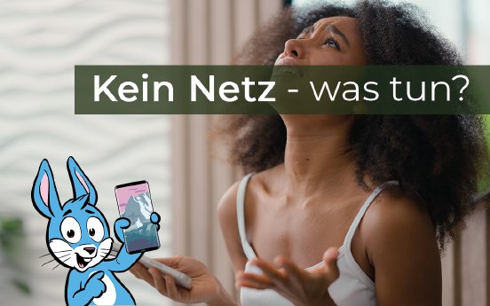 2024-08-13-Kein-Netz-Störung-PM.png