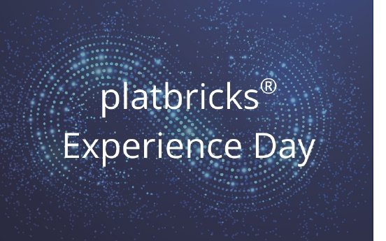PM platbricks Experience Day_ Pressebox_800x500.jpg