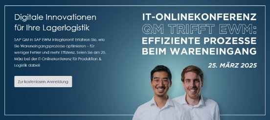 IT-Onlinekonferenz.JPG