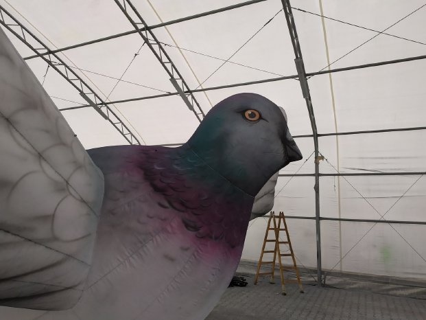 inflatable-pigeon.jpg