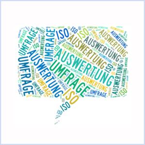Auswertung der Umfrage zur ISO 9001:2015