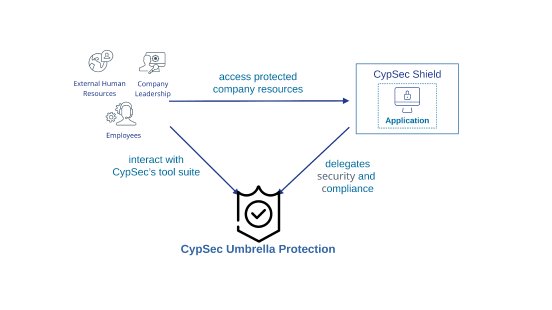 CypSec_Protection_In_A_Nutshell.png