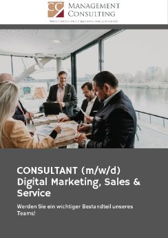 consultants-digital-marketingsalesservice3mb-1.pdf