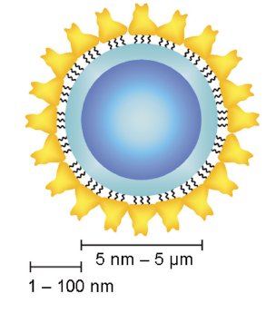 Nanocytes-Grundschema.jpg