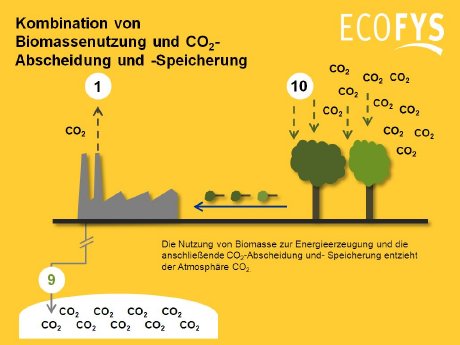 Grafik_Ecofys_Kombination_von_CCS_und_Biomassenutzung.jpg
