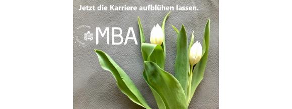 MBA Potsdam