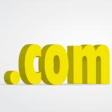 .Com is the most successful domain extension