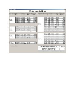 100520 Ende Frequenzversteigerung.pdf