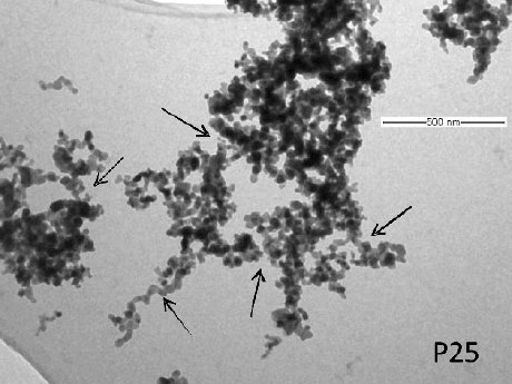 CA_Titandioxid-Nanopartikel_Elektronenmikroskop_web.jpg
