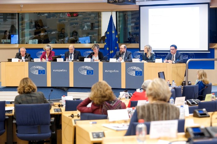 Foto 1 Anhörung im EU Parlament.jpg
