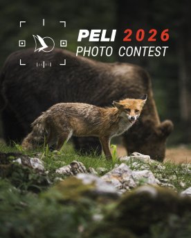212361000044788275_zc_v1_1781528381611_apr_5_(1).png
