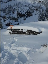 2026.02.03CopperlineUpdate_DE_PRcom.005.jpeg