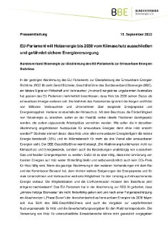 PM_BBE_zur_Abstimmung_RED III_2022.09.15.pdf