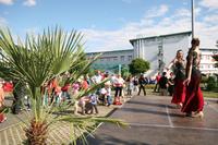 Fiesta, Sommer, Sonne - das WITTENSTEIN-Sommerfest 2008 auf dem Firmengelände in Harthausen